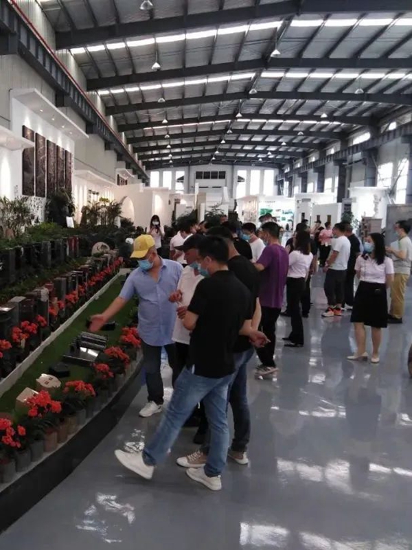 太阳城官网(中国)集团有限公司