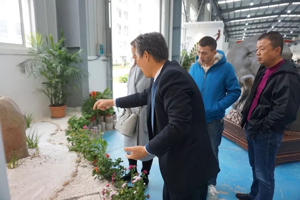 太阳城官网(中国)集团有限公司