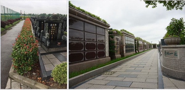 太阳城官网(中国)集团有限公司