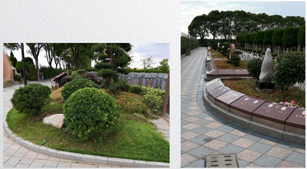 太阳城官网(中国)集团有限公司