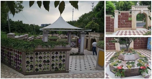 太阳城官网(中国)集团有限公司