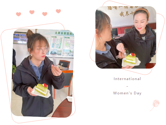 太阳城官网(中国)集团有限公司