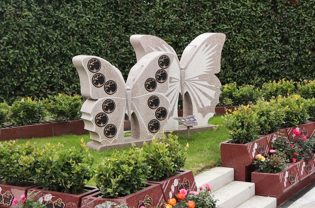 太阳城官网(中国)集团有限公司