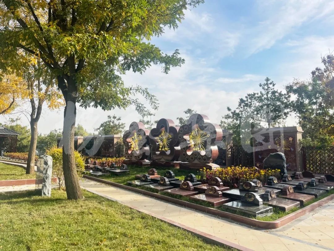 太阳城官网(中国)集团有限公司