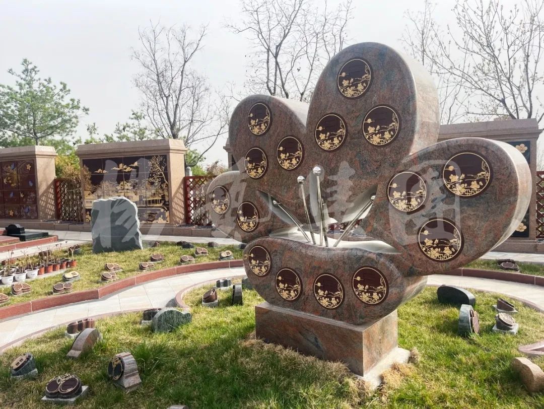 太阳城官网(中国)集团有限公司