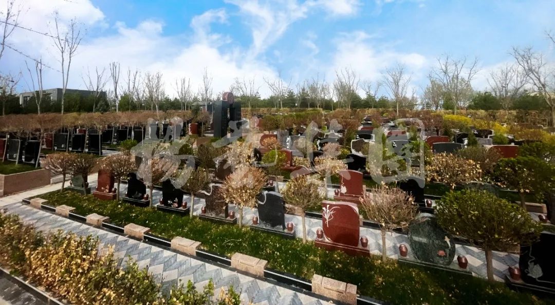 太阳城官网(中国)集团有限公司