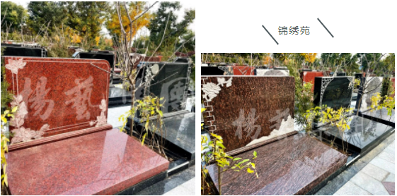 太阳城官网(中国)集团有限公司