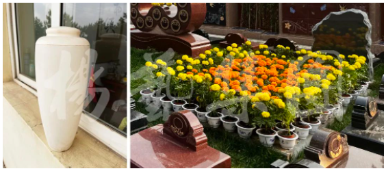 太阳城官网(中国)集团有限公司