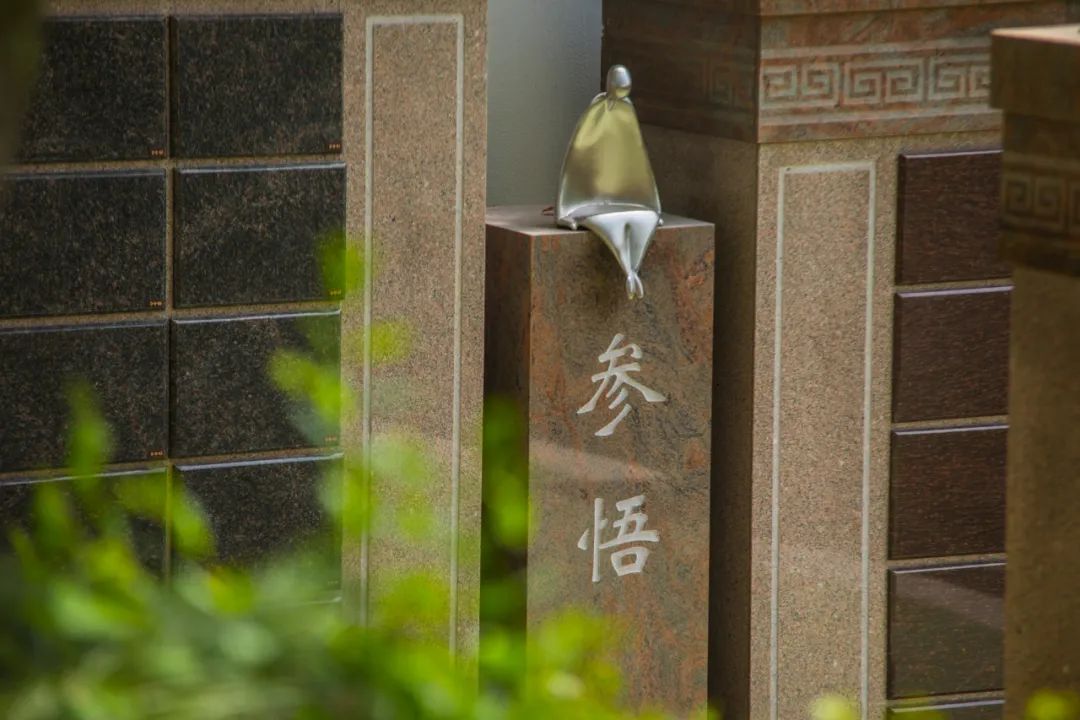 太阳城官网(中国)集团有限公司