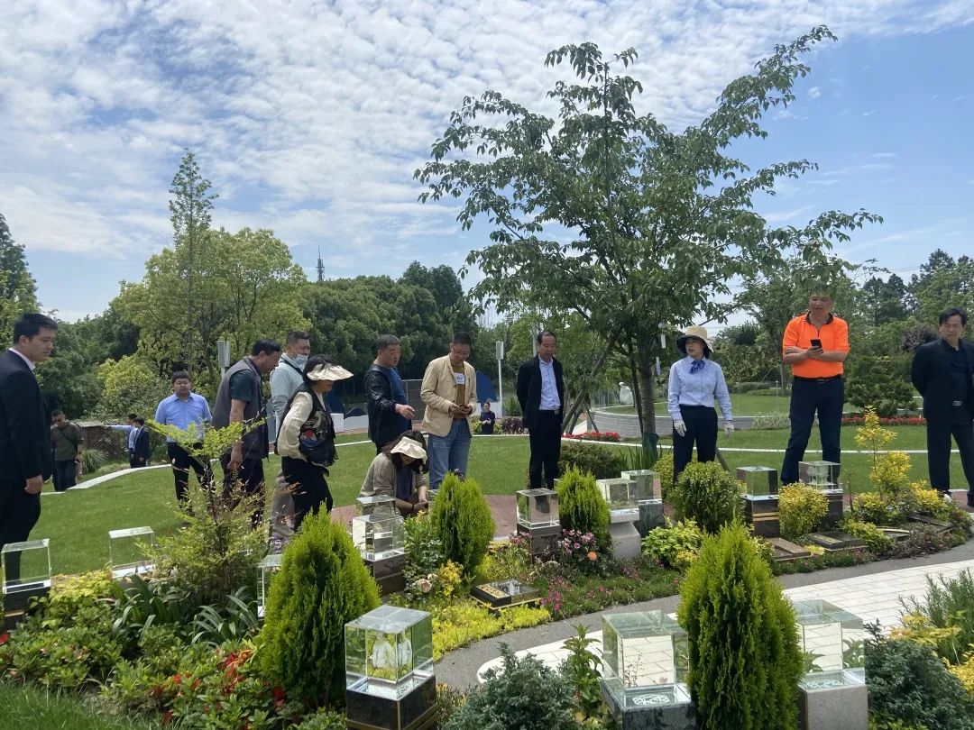 太阳城官网(中国)集团有限公司