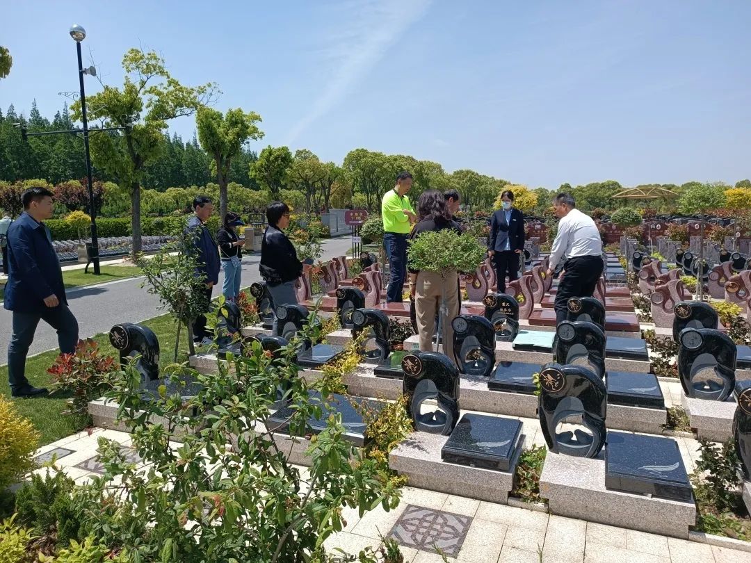 太阳城官网(中国)集团有限公司