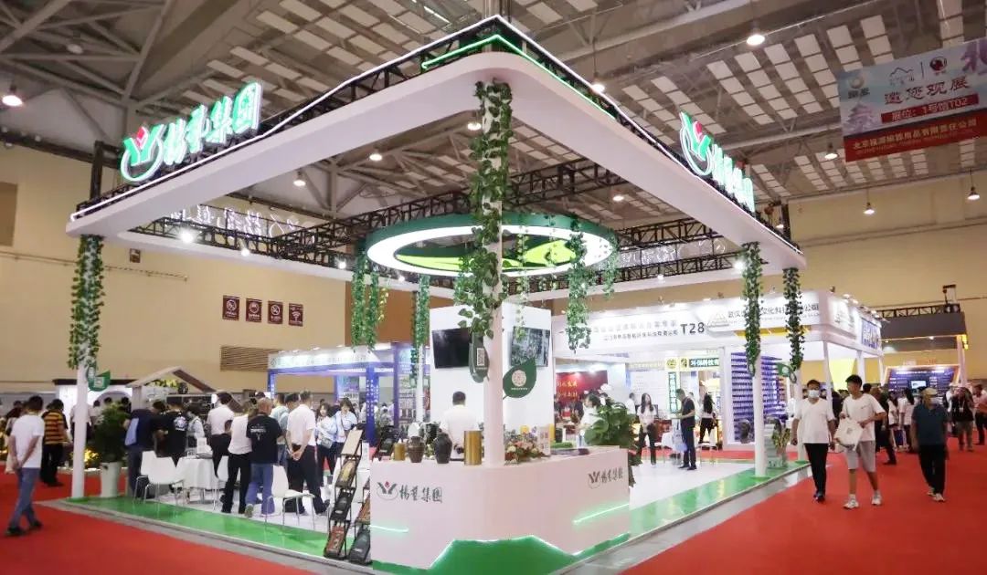 太阳城官网(中国)集团有限公司