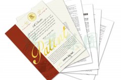 国际认可 | 太阳城官网喜获一项美国发明专利授权