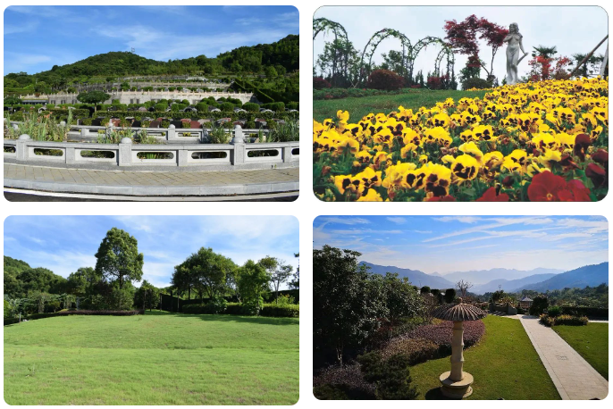 太阳城官网(中国)集团有限公司