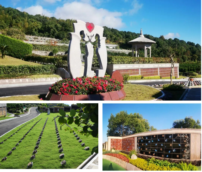 太阳城官网(中国)集团有限公司