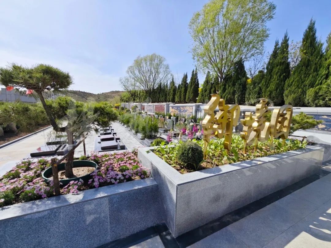 太阳城官网(中国)集团有限公司