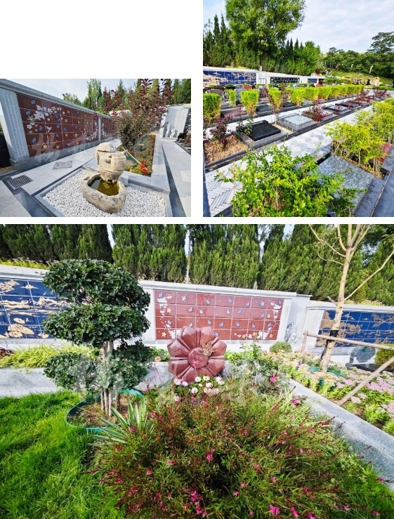 太阳城官网(中国)集团有限公司