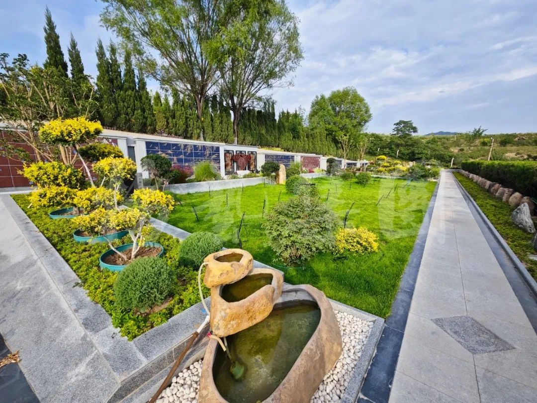 太阳城官网(中国)集团有限公司