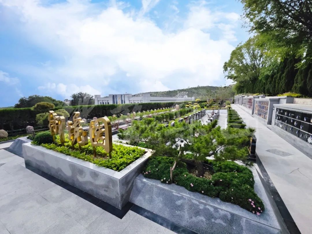 太阳城官网(中国)集团有限公司