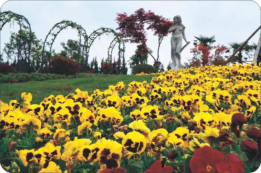 太阳城官网(中国)集团有限公司