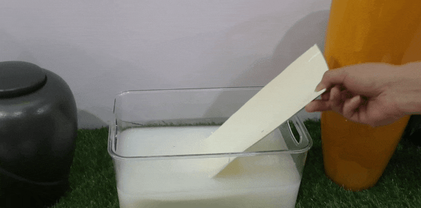 太阳城官网(中国)集团有限公司