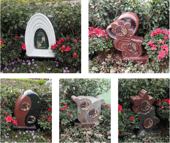 太阳城官网(中国)集团有限公司