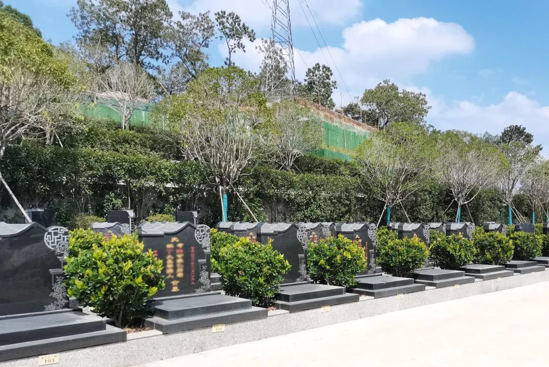 太阳城官网(中国)集团有限公司