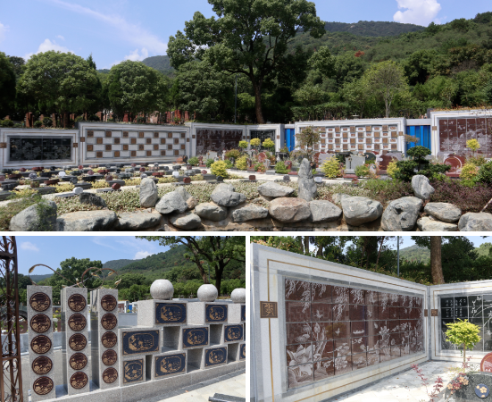 太阳城官网(中国)集团有限公司