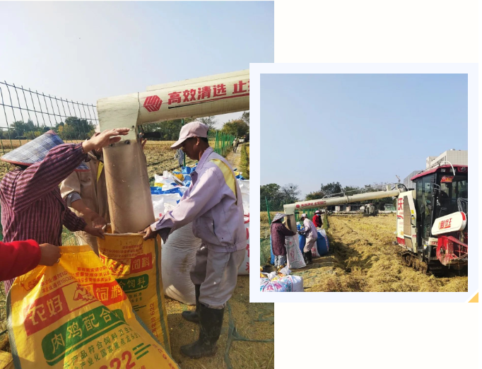 太阳城官网(中国)集团有限公司