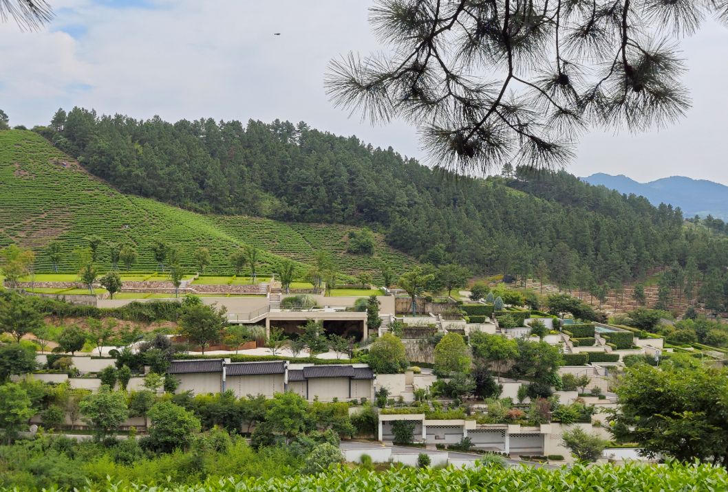 太阳城官网(中国)集团有限公司