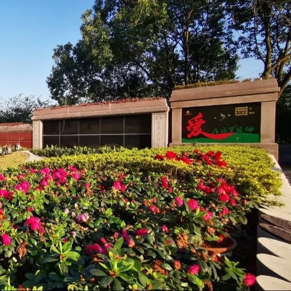 太阳城官网(中国)集团有限公司