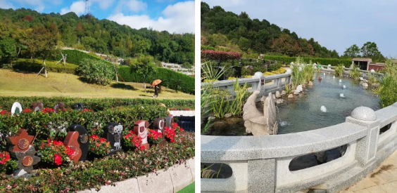 太阳城官网(中国)集团有限公司