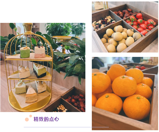 太阳城官网(中国)集团有限公司