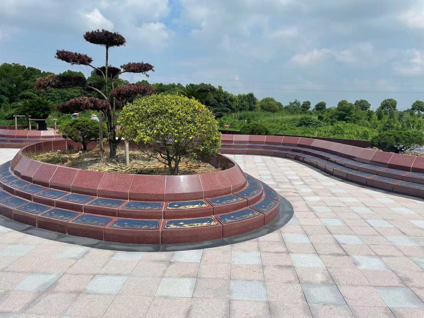 太阳城官网(中国)集团有限公司