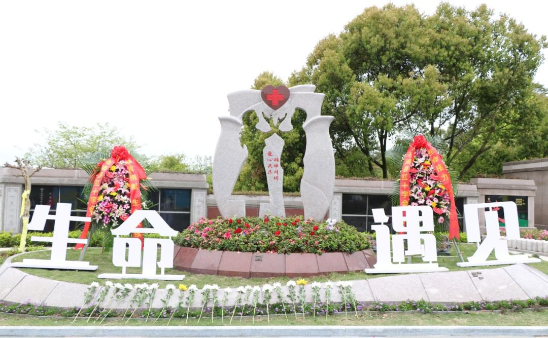 太阳城官网(中国)集团有限公司