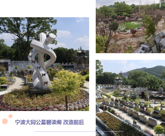 太阳城官网(中国)集团有限公司