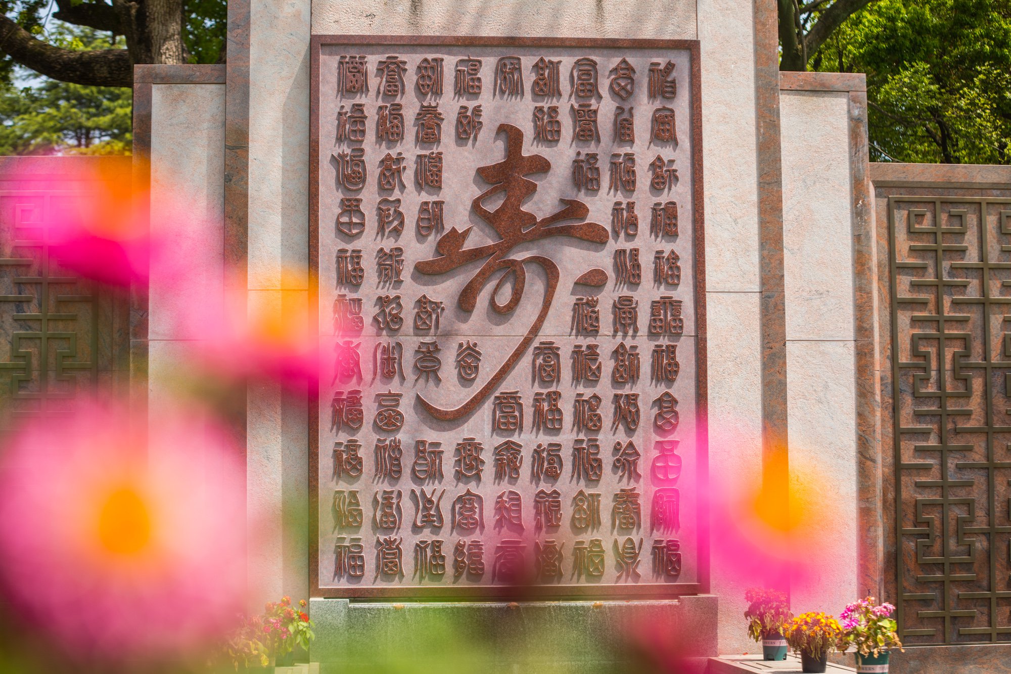 太阳城官网(中国)集团有限公司