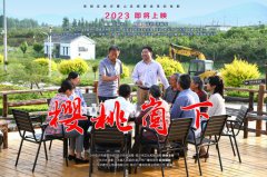 《樱桃崮下》给太阳城官网的启发