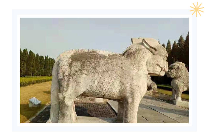 太阳城官网(中国)集团有限公司