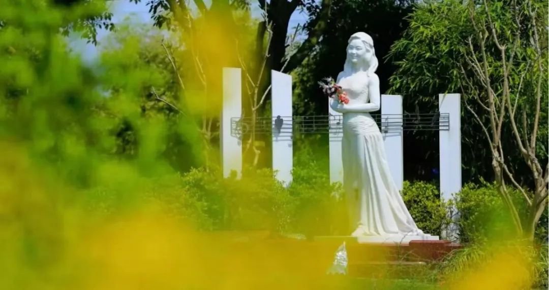 太阳城官网(中国)集团有限公司