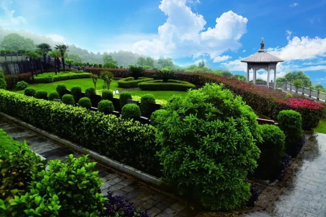 太阳城官网(中国)集团有限公司