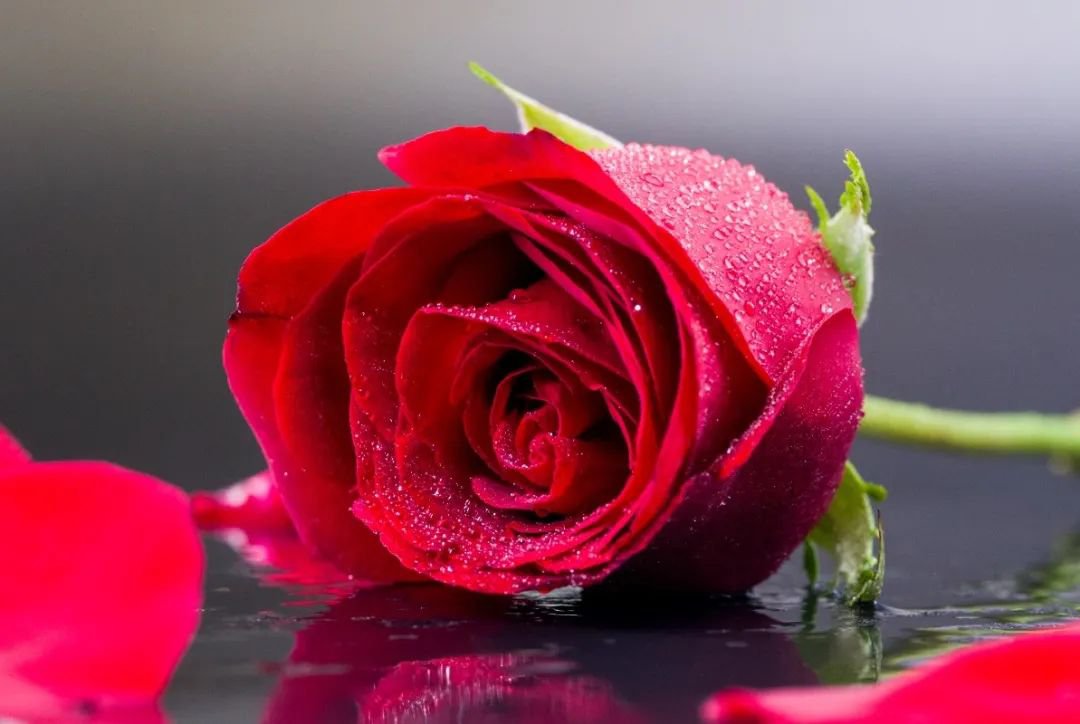 女神节 | 致敬“她”实力，，，，共筑优美未来