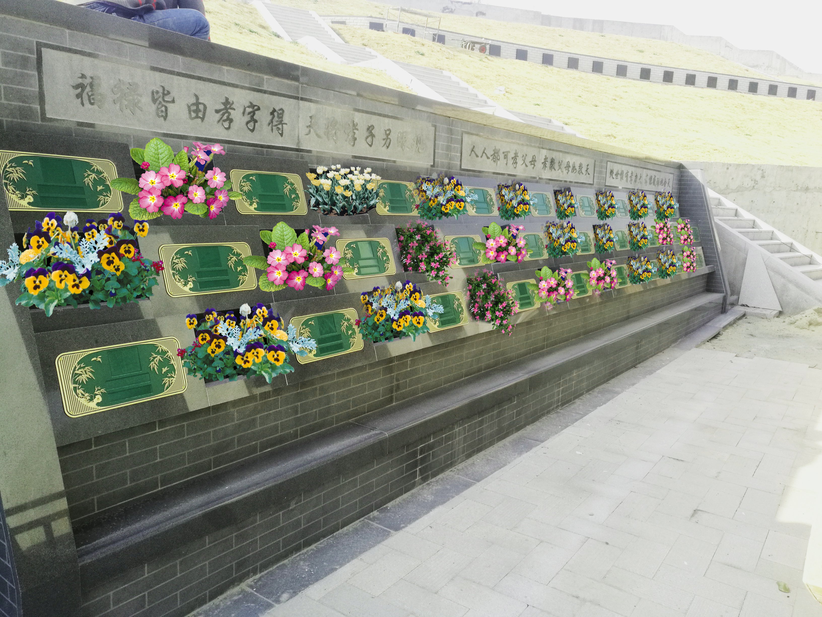 太阳城官网(中国)集团有限公司