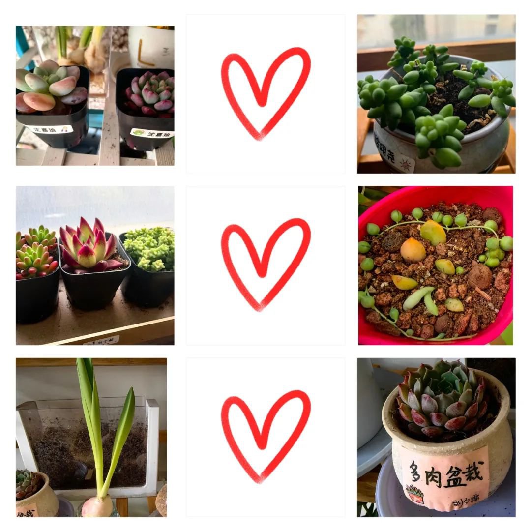 太阳城官网(中国)集团有限公司