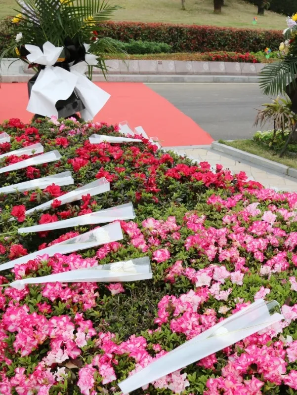 太阳城官网(中国)集团有限公司