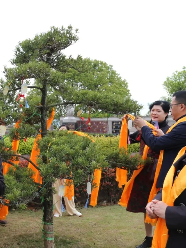 太阳城官网(中国)集团有限公司