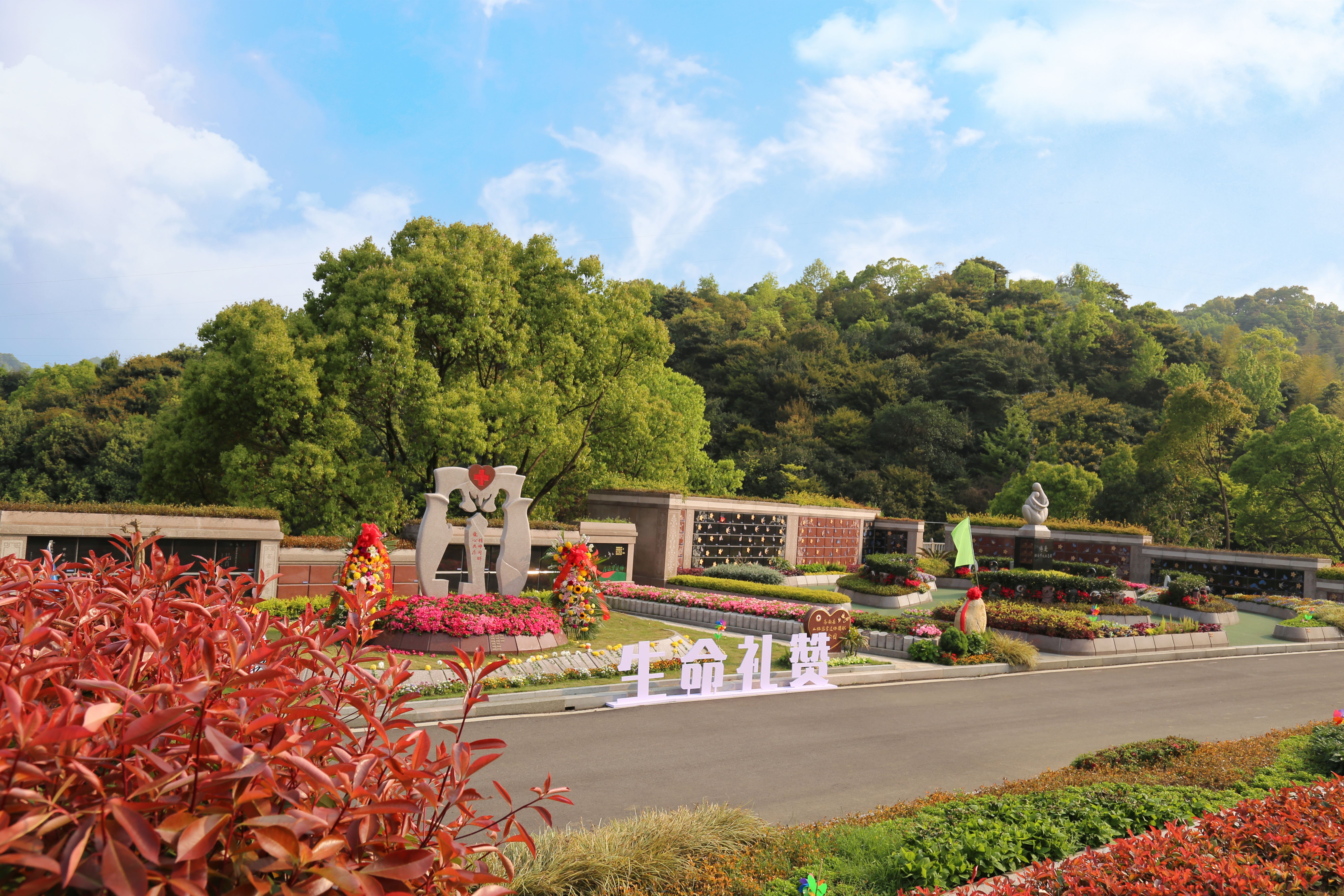 太阳城官网(中国)集团有限公司