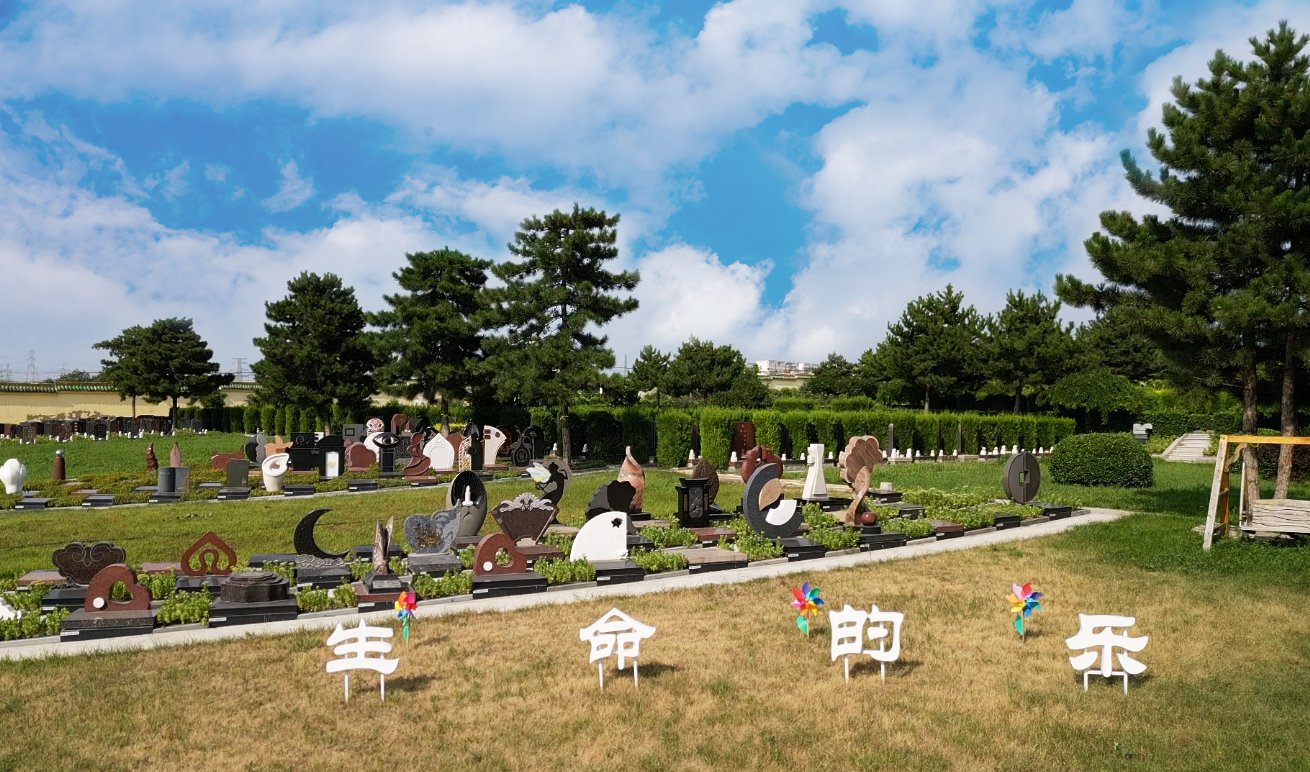 共赢之道：太阳城官网集团BOT相助模式的优势与效益剖析