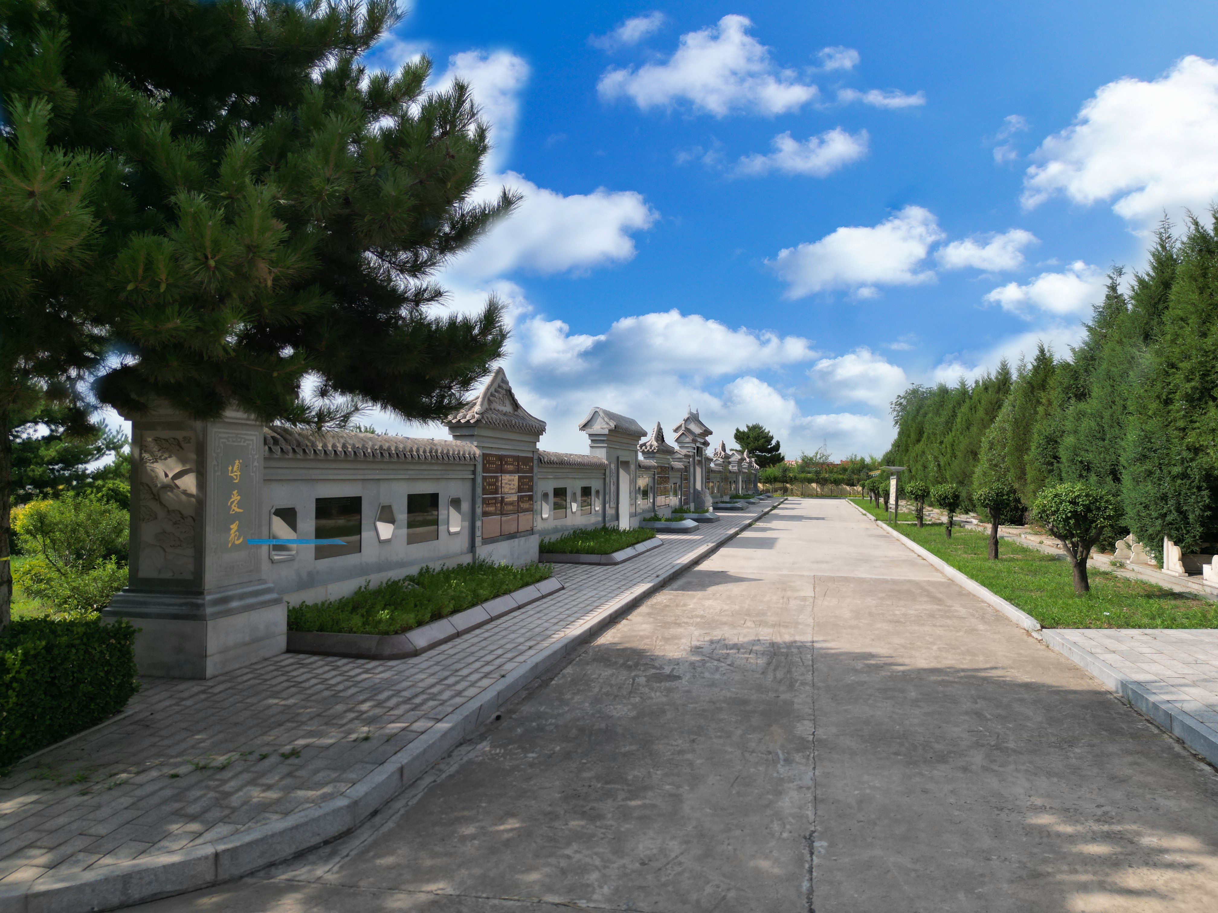 太阳城官网(中国)集团有限公司