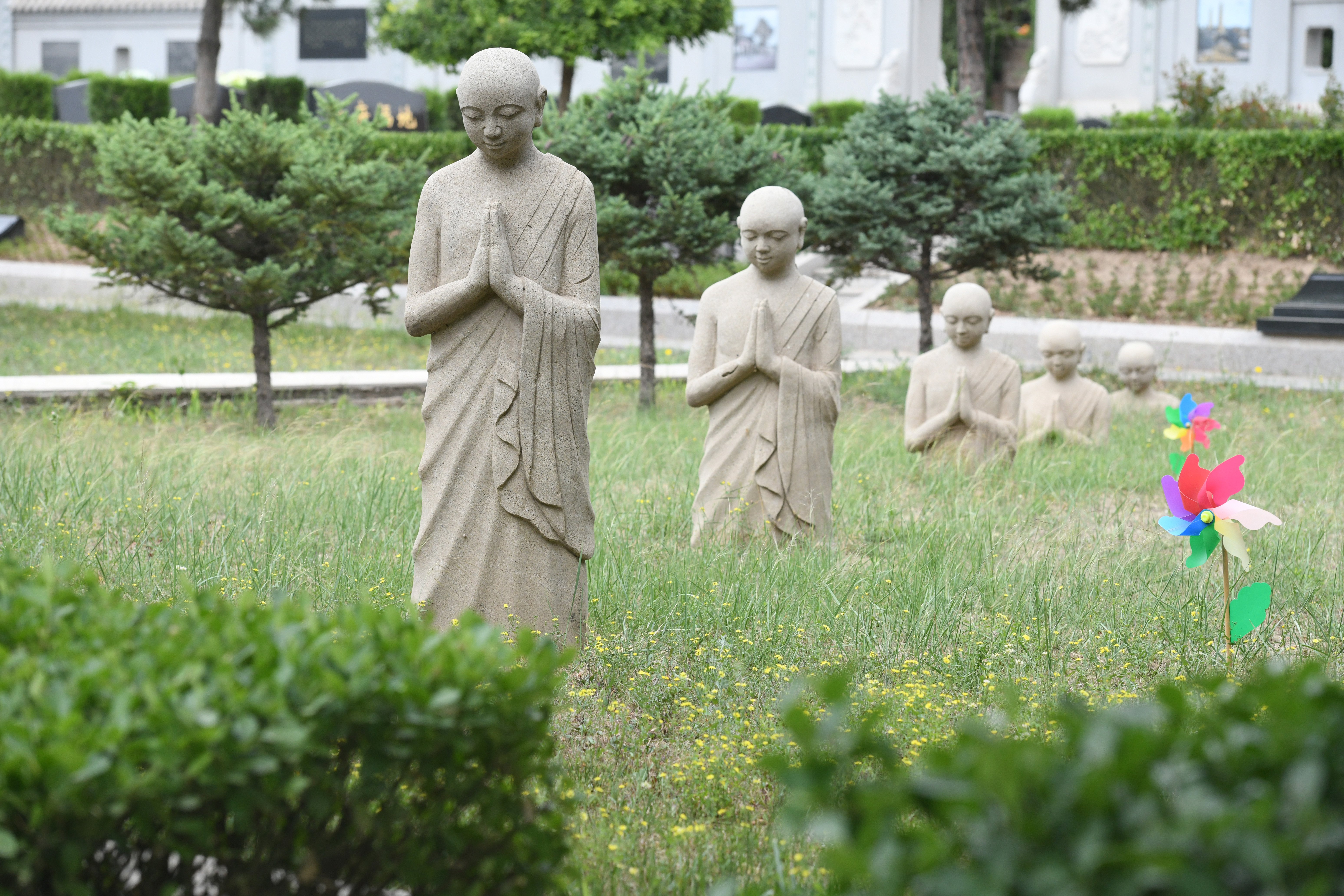 太阳城官网(中国)集团有限公司